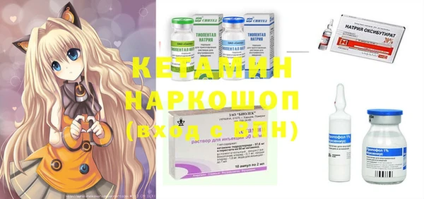 ешки Новодвинск
