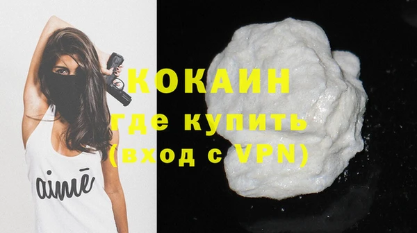 винт Ветлуга