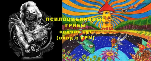 эйфоретик Новокубанск