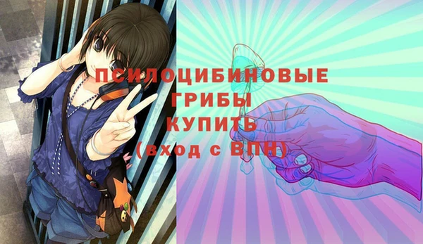 бошки Нефтегорск