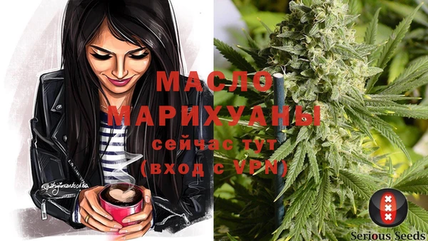 ешки Новодвинск