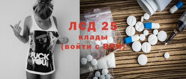 эйфоретик Новокубанск