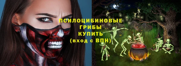 эйфоретик Новокубанск