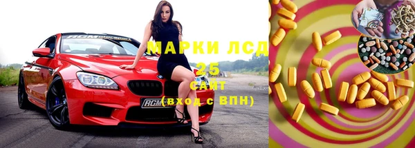 ешки Новодвинск