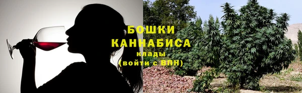 ешки Новодвинск