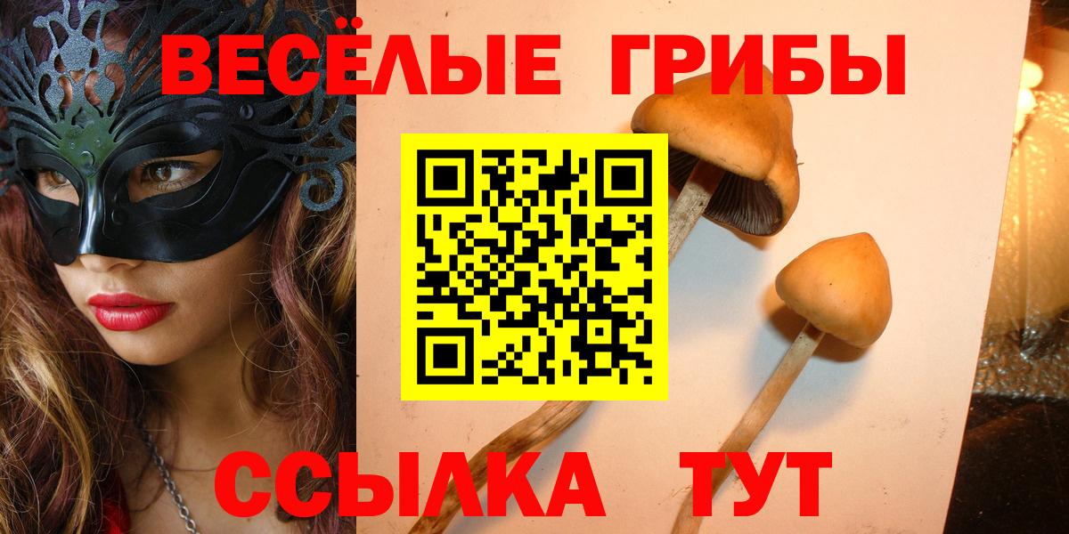 Нягань  Псилоцибиновые грибы Psilocybe  Вход с VPN 